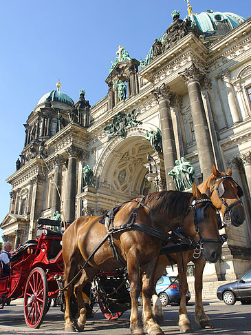 Pferdekutsche vor dem Berliner Dom Fotos