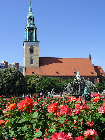 Fotos Marienkirche | Berlin