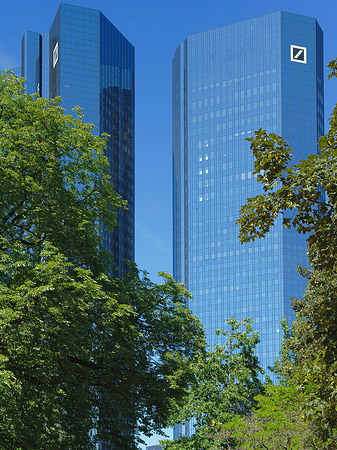 Fotos Deutsche Bank mit Bäumen | Frankfurt am Main