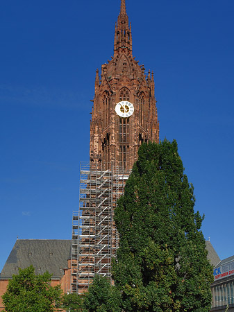 Fotos Kaiserdom St. Bartholomäus mit Baum