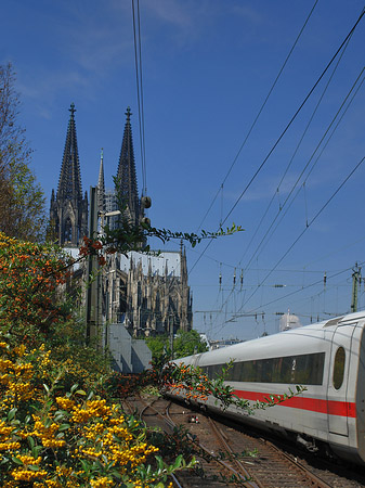 Foto Kölner Dom mit ICE