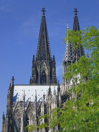 Fotos Türme des Kölner Doms