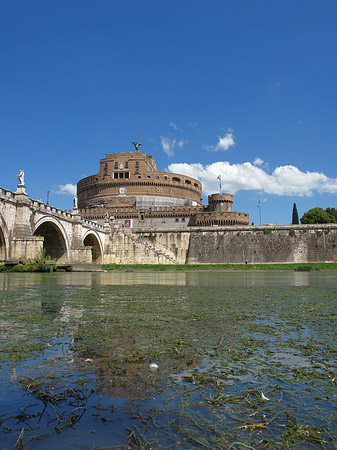 Tiber Foto 