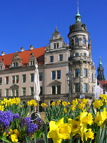 Fotos Schloss | Dresden