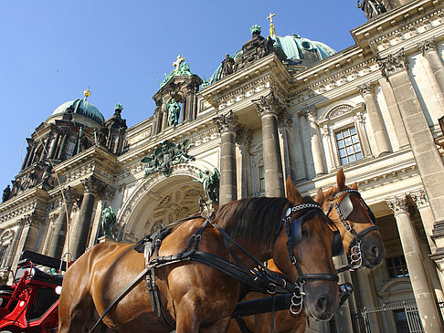 Foto Pferdekutsche vor dem Berliner Dom - Berlin