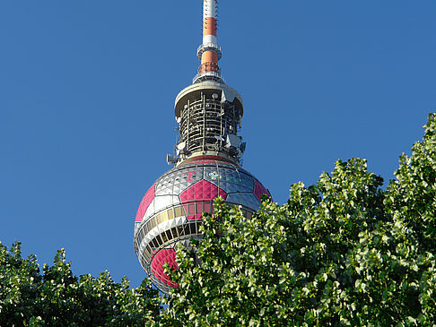 Foto Fernsehturm und Bäume