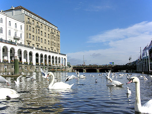 Foto Alster Arkaden