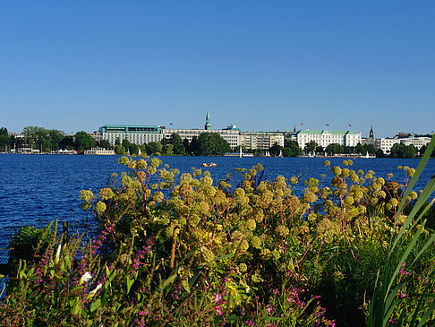 Foto Blick nach Osten von der Außenalster - Hamburg