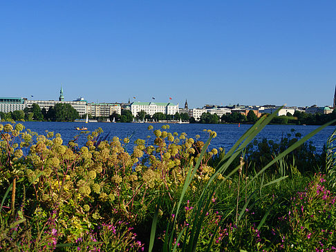 Foto Blick nach Osten von der Außenalster - Hamburg