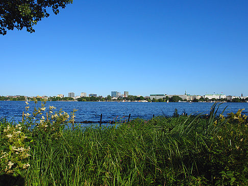 Foto Blick nach Osten von der Außenalster - Hamburg