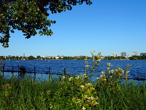 Fotos Blick nach Osten von der Außenalster | Hamburg