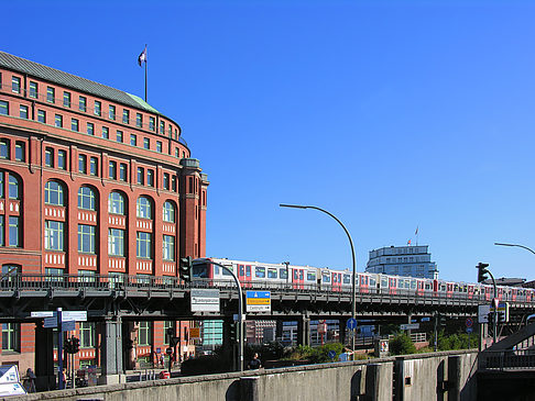 Foto Baumwall - Hamburg