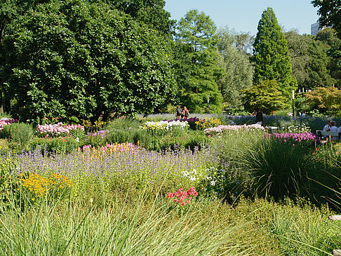 Foto Planten un Blomen - Gärten - Hamburg