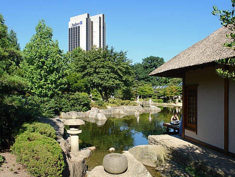 Foto Planten un Blomen - Japanischer Garten