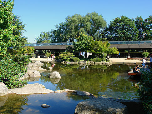 Foto Planten un Blomen - Japanischer Garten