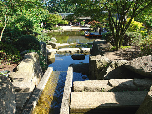 Planten un Blomen - Japanischer Garten Fotos