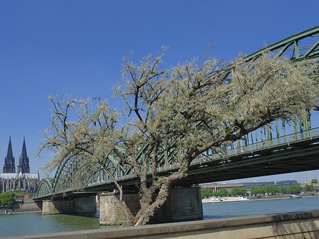 Hohenzollernbrücke am Kölner Dom Foto 