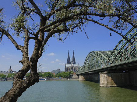 Foto Hohenzollernbrücke am Kölner Dom