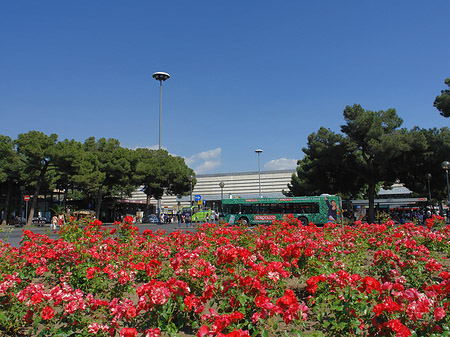 Fotos Blumen am Bahnhof | Rom