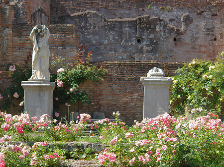 Foto Tempel der Vesta