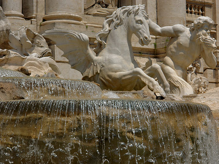 Statuen am Trevibrunnen Fotos