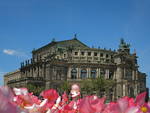 Fotos Semperoper mit Blumen | Dresden