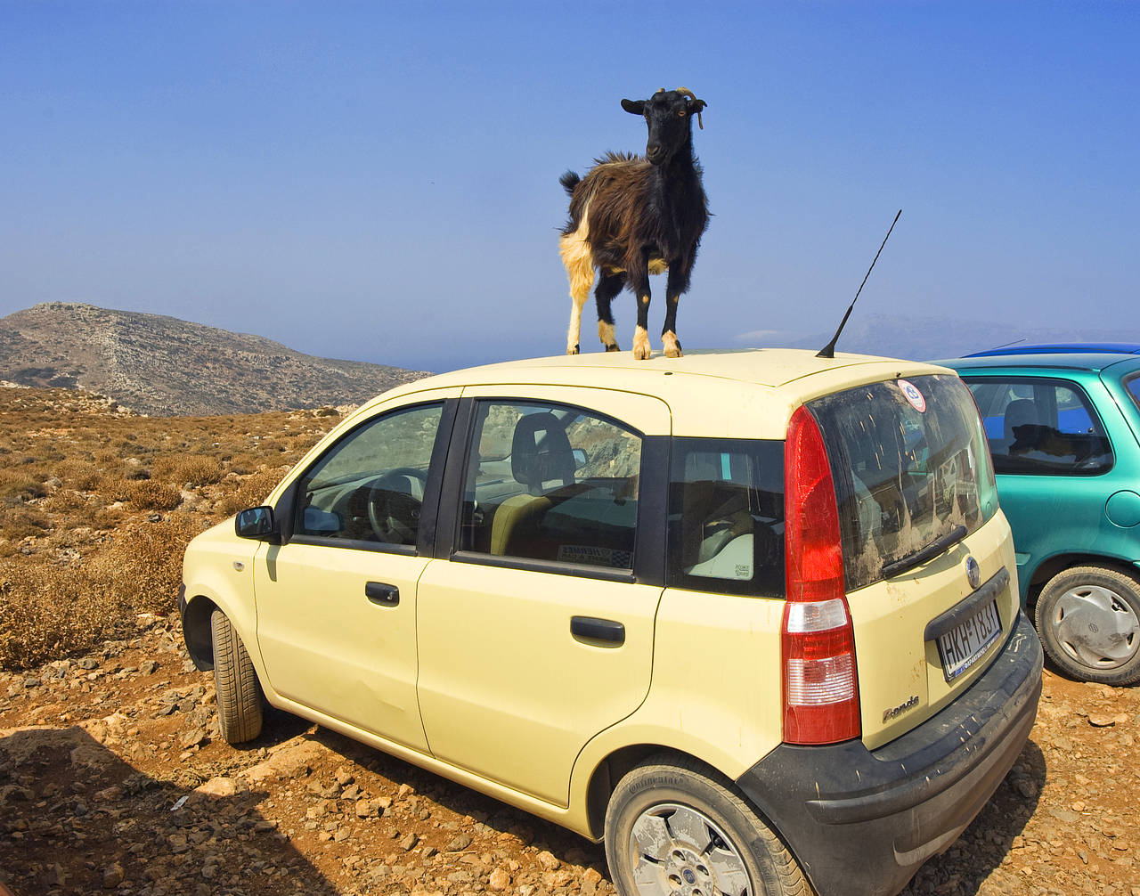 Fotos Autofahren | 