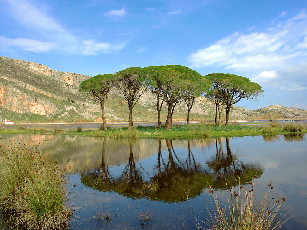 Foto Achaia